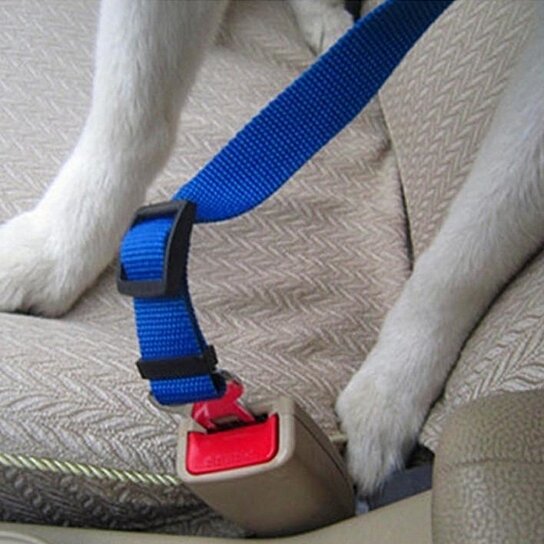 Pet Safety Car Seat Belt Leashes