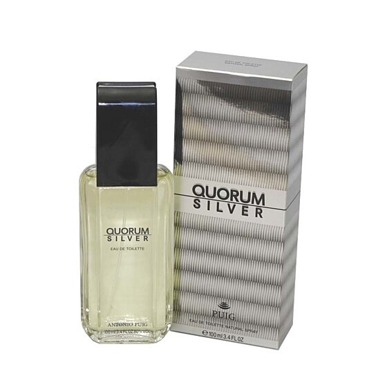 Buy Quorum Silver Cologne By Antonio Puig For Men Eau De Toilette Spray ...
