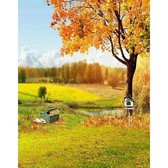 7×5ft Wall Background Cloth Autumn Yellow Tree Grass Photo Backdrop Background Wall Decoration Party Wall Background Photographic Background Wall Photography Backdrops for Photo Studio Backgroun