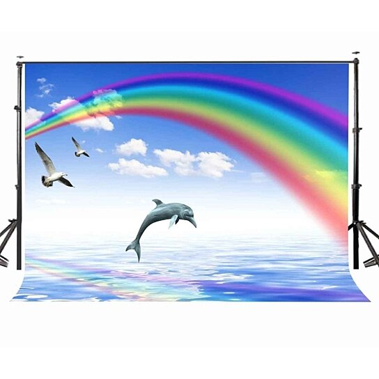 CdHBH 7X5ft Colorful Rainbow Backdrop Sunny Day Beutiful Seaview Photography Background Photo Shooting Props LYNAN109 