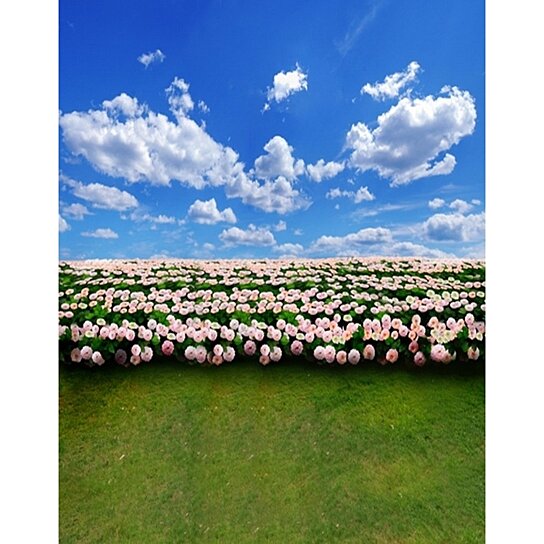5X7ft Photography Backdrop Spring Photo Backdrops Blue Sky Pink Flowers Background for Photo Studio Photography 