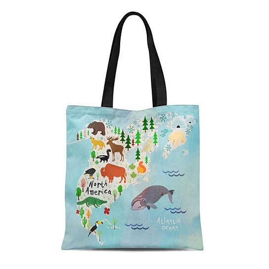 Buy Canvas Bag Resuable Tote Grocery Shopping Bags Canada Cartoon Map North America Kid City Usa ...