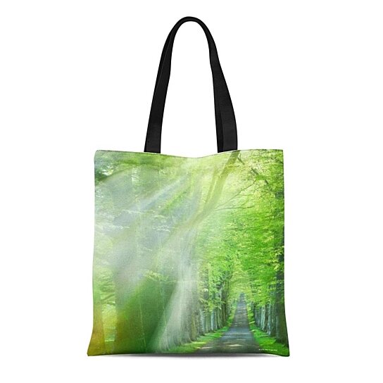 Buy Canvas Tote Bag Landscape Shafts of Sunlight Nature Forest ...