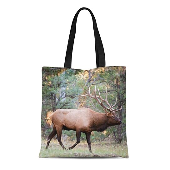 elk handbags sale