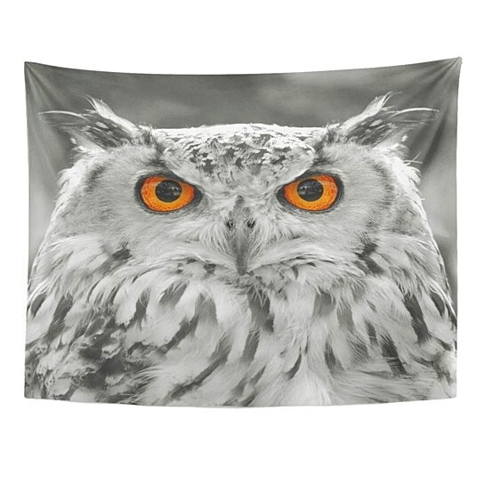 Buy Face Owl Bird Feathers Monochrome Monotone Wall Art Hanging Tapestry 51x60 Inch By Ann Pekin Pekin On Opensky