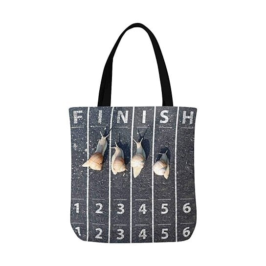 finish line shopping bag