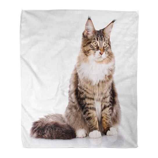 cat plush blanket