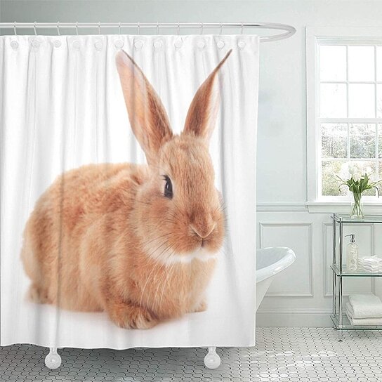 claws shower curtain