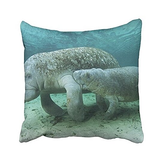 manatee body pillow