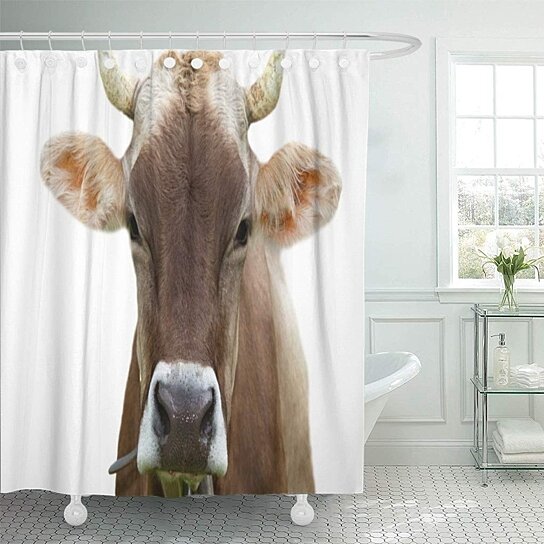 Buy Farmhouse Cow Farm Modern Minimalist Photography Bathroom Decor Bath Shower Curtain 66x72 Inch By Wallis Flora On Opensky