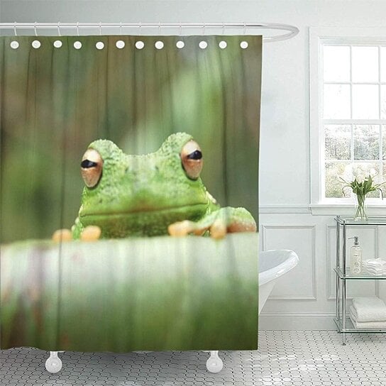 Buy Funny Green Tree Frog Impulse Bathroom Decor Bath Shower Curtain 66x72 Inch By Wallis Flora On Opensky