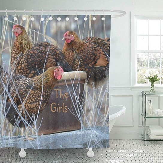 Buy Hens The Girls Chicken Golden Laced Wyandotte Flower Pot Bathroom ...