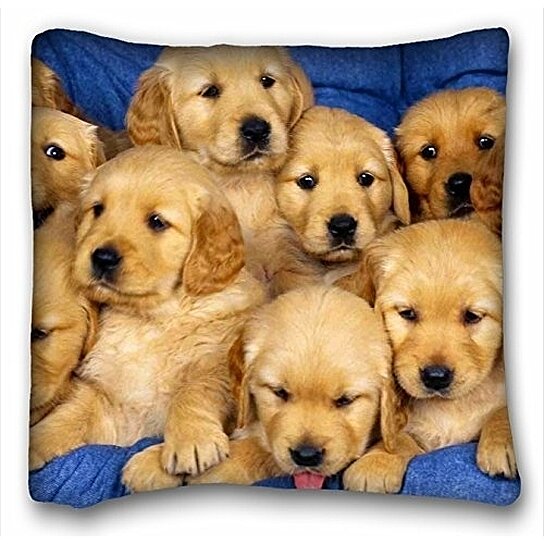 Buy King Pillow Case Animals Cute Golden Retriever Puppies Size 20x20 Inches Two Side Print By Wallis Flora On Dot Bo