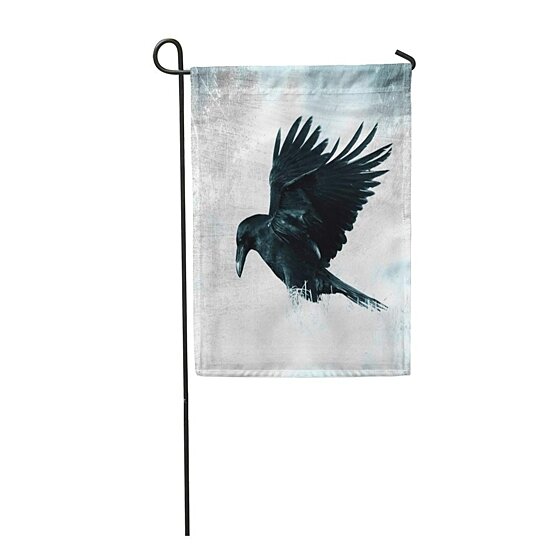 Buy Bird Black Raven Corvus Corax Landing in Moonlight Scary Creepy ...