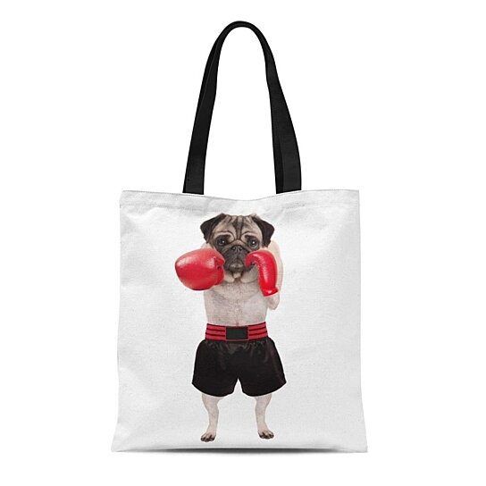 pug boxing gloves