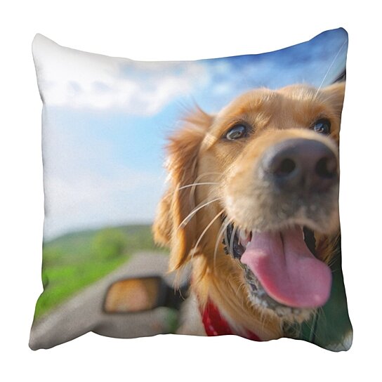 golden retriever throw pillow