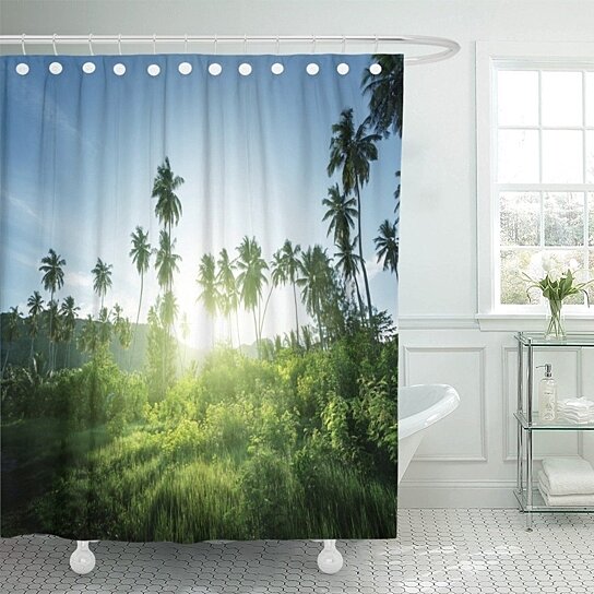 Buy Green Sky Sunset In Jungle Seychelles Forest Rainforest Tree Africa Light Sunny Polyester Shower Curtain Bathroom Decor 66x72 Inches By Andrea Marcias On Dot Bo