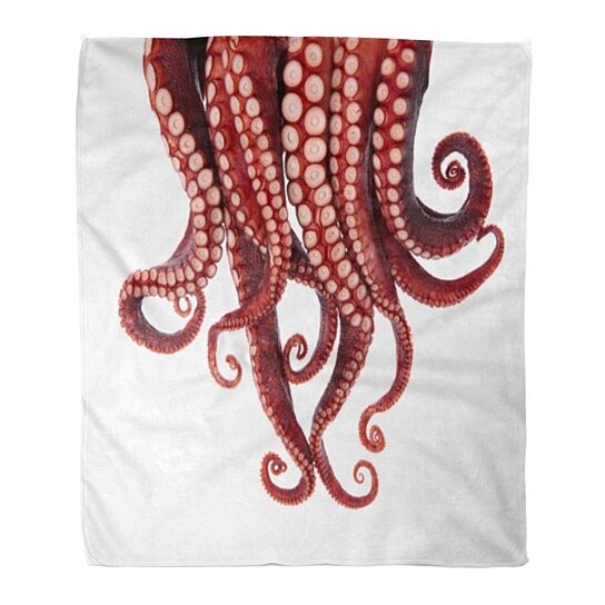 CyCoShower Warm Flannel Fleece Throw Blanket White Octopus with Long Tentacle on Dark Green Vintage Background Extra Soft Fuzzy Throw Blankets for The Bed Sofa 49x59 inch