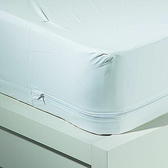 bed bug mattress cover