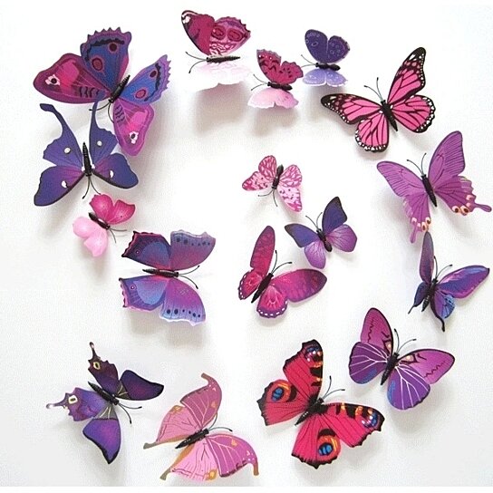 butterfly magnets