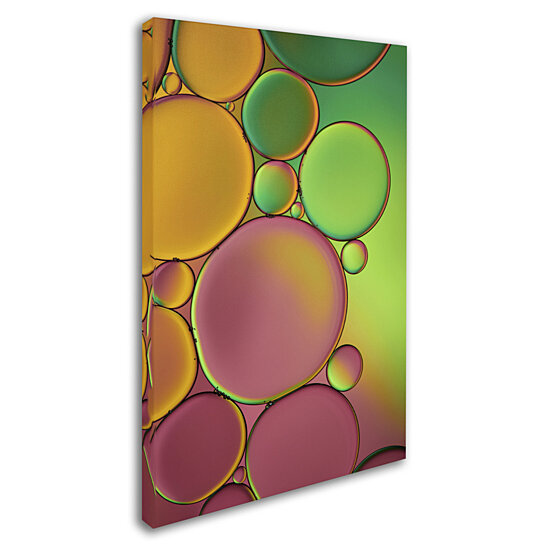 Buy Cora Niele 'Green and Orange Drops' Canvas Art 16 x 24 by ...