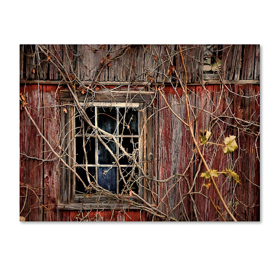 Buy Lois Bryan Old Barn Window 14 X 19 Canvas Art By Destination