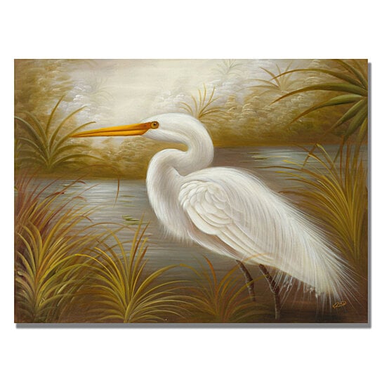 Buy Rio White Heron Canvas Wall Art 35 X 47 By Destination Home On Dot Bo