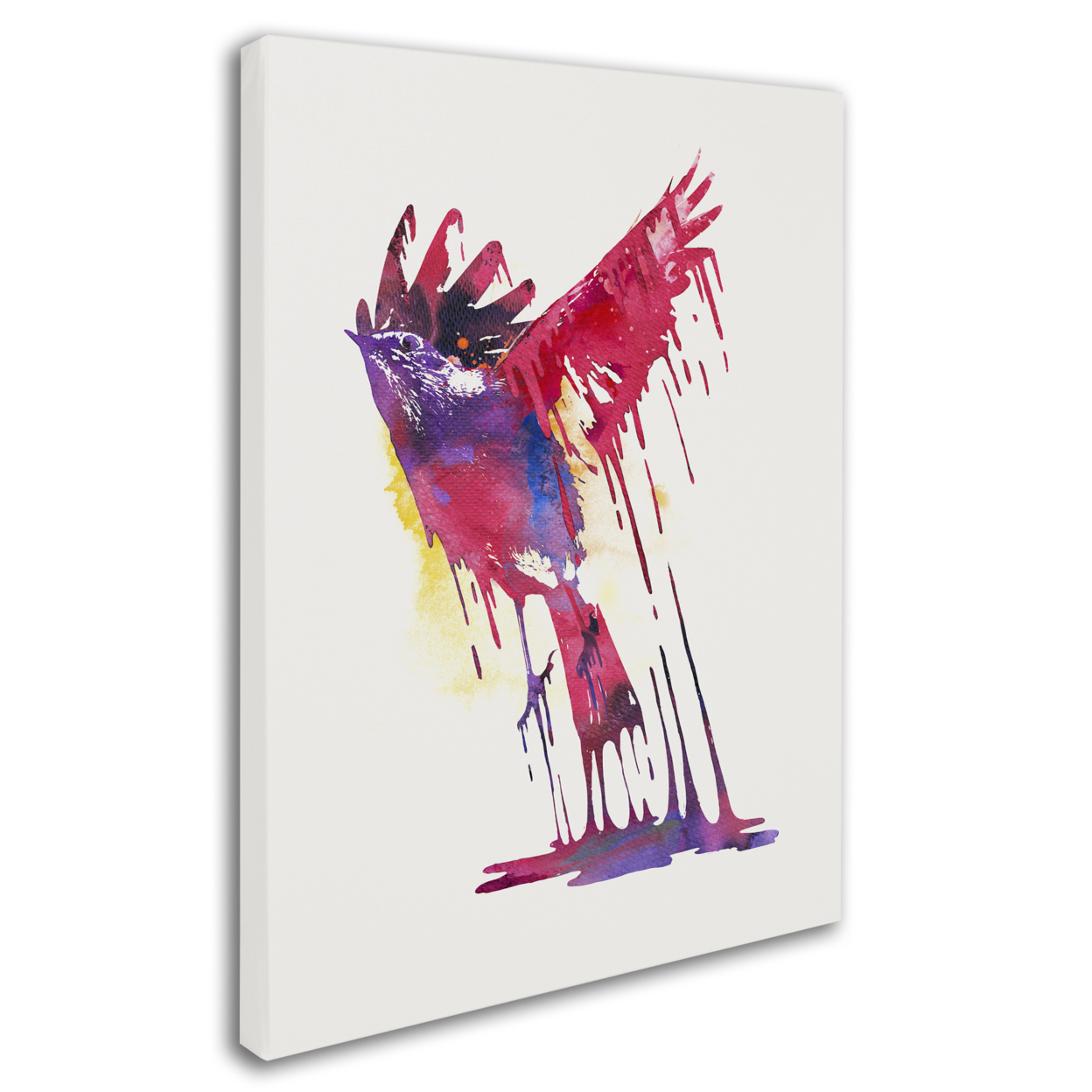 Buy Robert Farkas 'The Great Emerge' Canvas Wall Art 35 x 47 Inches by ...