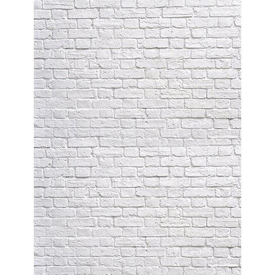 Buy 5x7ft White Brick Wall Photography  Backdrops for 