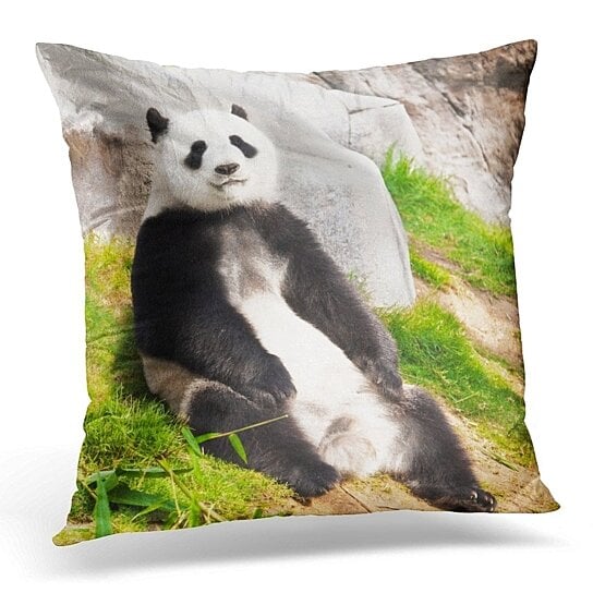 giant panda pillow