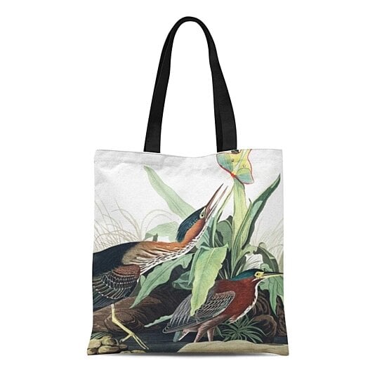 Buy Canvas Tote Bag Green Audubon Heron Birds Wildlife Wader Botanical ...