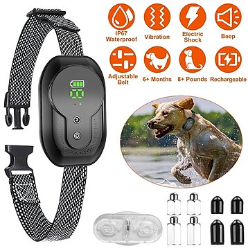 Buy Anti Bark Dog Collar for Small Dogs No Shock Dog Training Collar  Automatic Barking Stopper Terminator Waterproof USB Rechargeable by Global  Phoenix on Dot & Bo