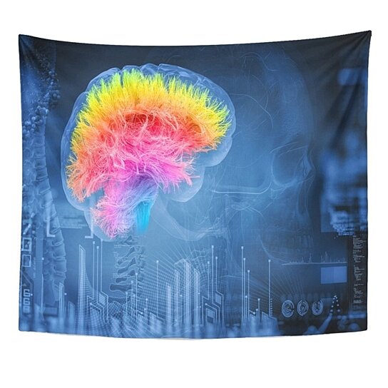 Buy Cerebral Brain 3d Connections Cortex Graphic Health Abstract ...
