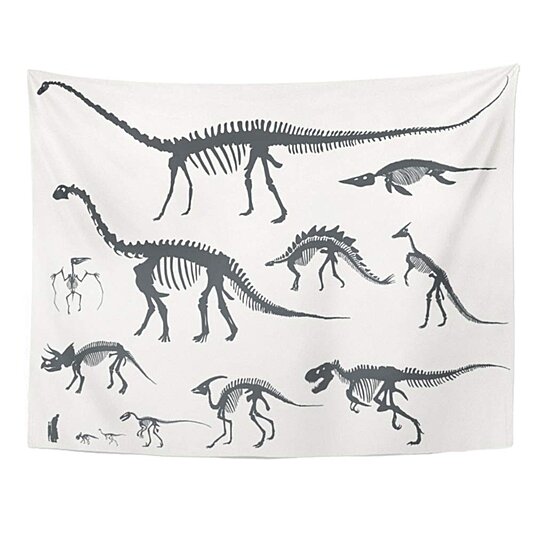 Download Buy Silhouettes Dinosaurs And Fossils Man And Children Comparison Sizes Wall Art Hanging Tapestry 51x60 Inch By Harriet Queena Queena On Opensky