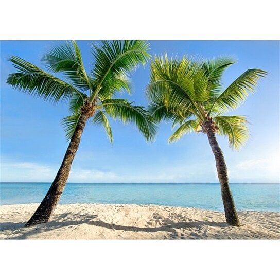 Buy 7x5ft Beach Backdrop Seaside Coconut Tree Blue Sky White Cloud ...