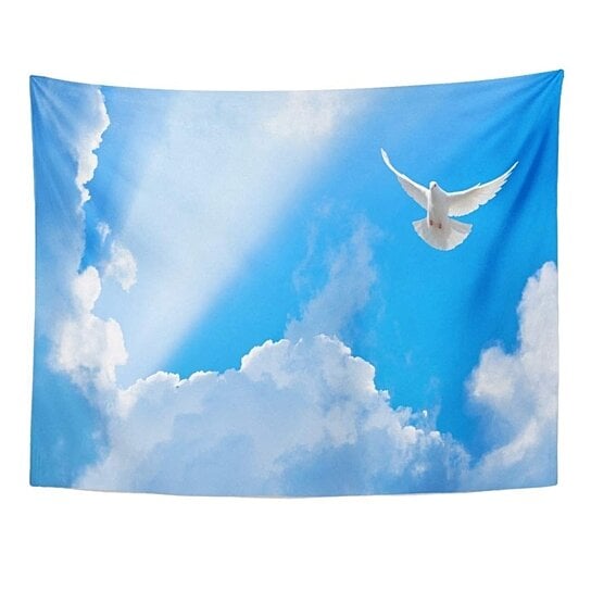 Buy Blue Spirit White Dove Flying In The Sun Rays Among Clouds Holy Faith Sky Wall Art Hanging Tapestry 51x60 Inch By Hedda Stan On Dot Bo