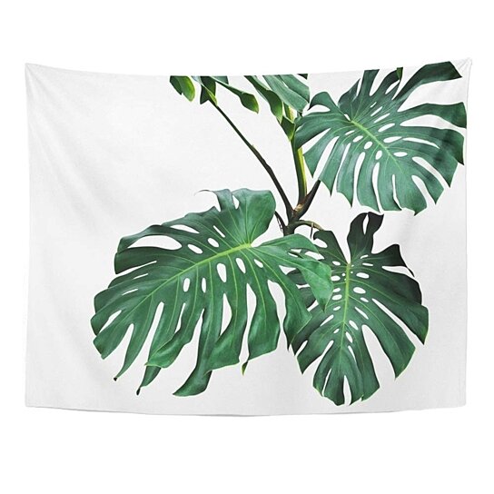 Tropical Plant Leaves Tapestry Art Wall Hanging Cover Poster 