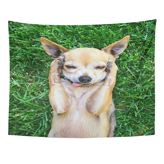 Buy Funny Cute Chihuahua His Paws On Covering Ears Dog Puppy Pet Wall Art Hanging Tapestry 51x60 Inch By Hedda Stan On Dot Bo