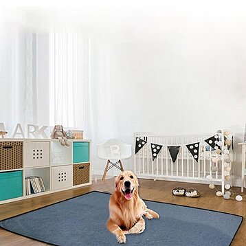 https://cdn1.ykso.co/justgreen/product/anti-slip-dog-pee-pad-blanket-reusable-absorbent-tineer-diaper-washable-puppy-training-pad-pet-bed-urine-mat-0842/images/9a0eff0/1700533686/feature-phone.jpg