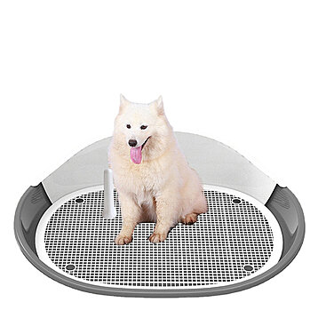 Buy Dog training toilet, dog potty fence, dog toilet puppy dog