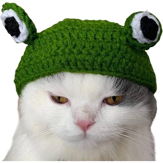 funny frog hat