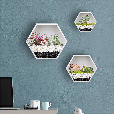 Metal Wire Octagon Design Wall-Mounted Shelves with Ceramic Flower Pot Air Plant Container Hanging Vase Desktop Succulents Planter Gold Modern Wall Planter 