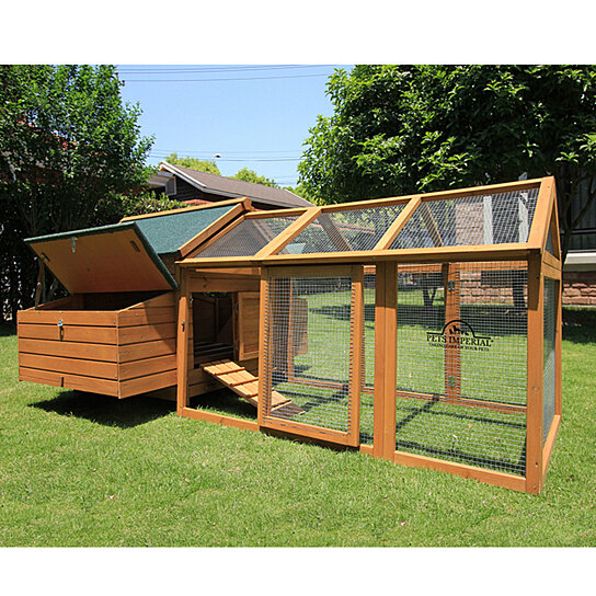 Buy Pets Imperial Double Savoy Large Chicken Coop With 2 Nest Boxes And 