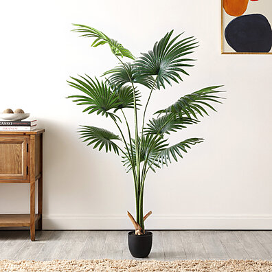 https://cdn1.ykso.co/pacifichome/product/safavieh-faux-72-potted-palm-tree-6bd9/images/c116466/1682525927/ample.jpg