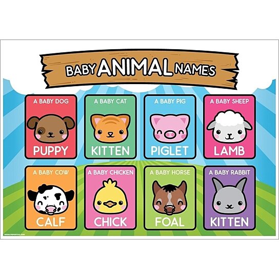 Buy Grindstore Baby Animal Names Poster By Pertemba Us On Dot Bo