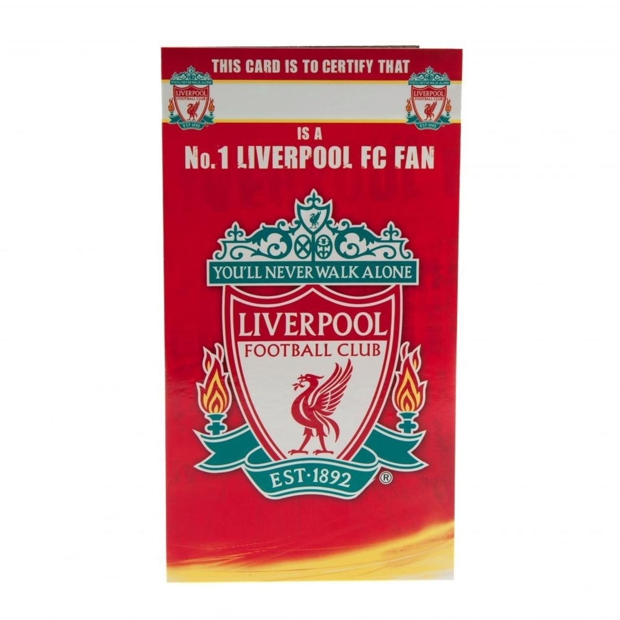 liverpool day travel card