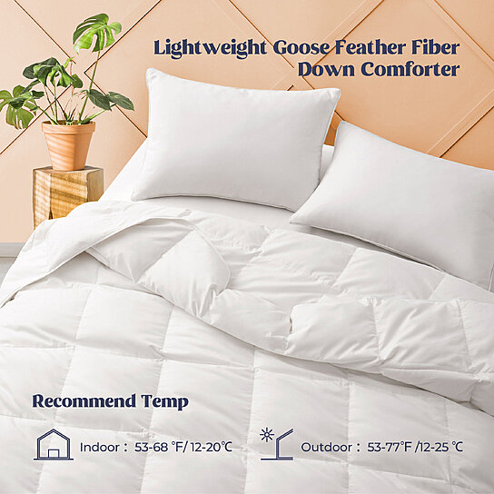 Buy Puredown Premium Lightweight White Down Comforter 100