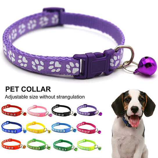 can cats wear small dog collars