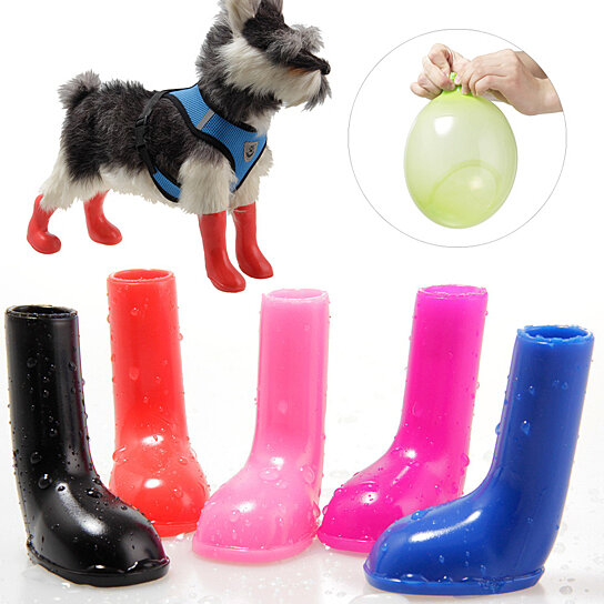 how to keep dog clean in the rain