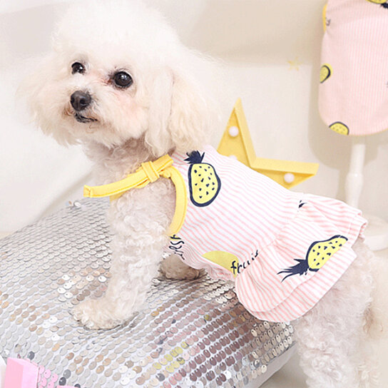 buy dog dress